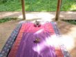 massage thailandais en pleine nature